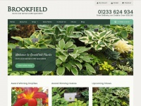 Brookfieldplants.co.uk
