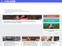 petalatino.com Thumbnail