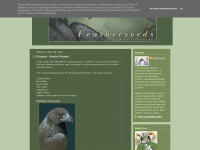 featherseeds.blogspot.com