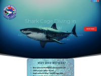 Sharklady.co.za