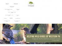 Wildbirdrecovery.org