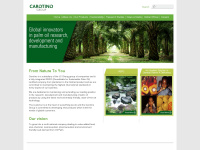 carotino.com Thumbnail