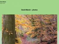 David-marsh.com